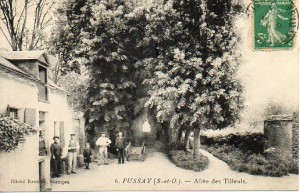 Allée des tilleuls